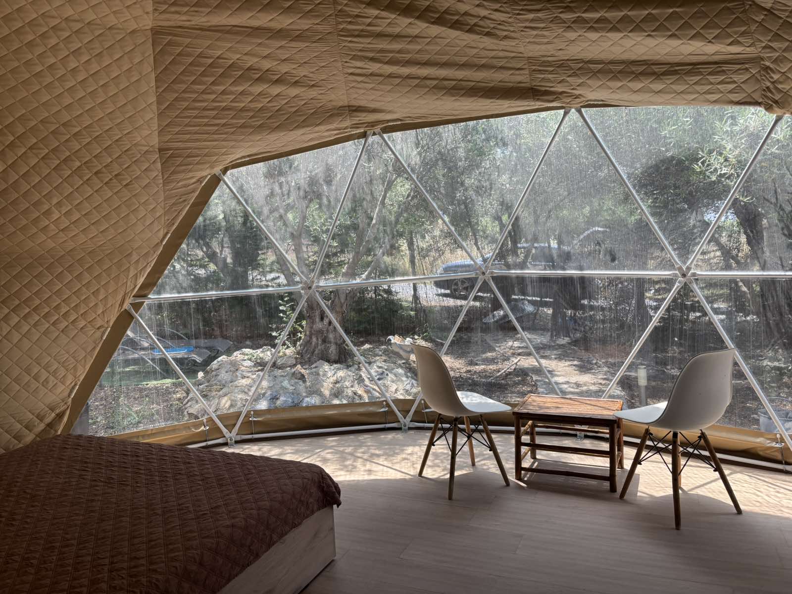 viber_image_2025-06-06_18-14-56-660