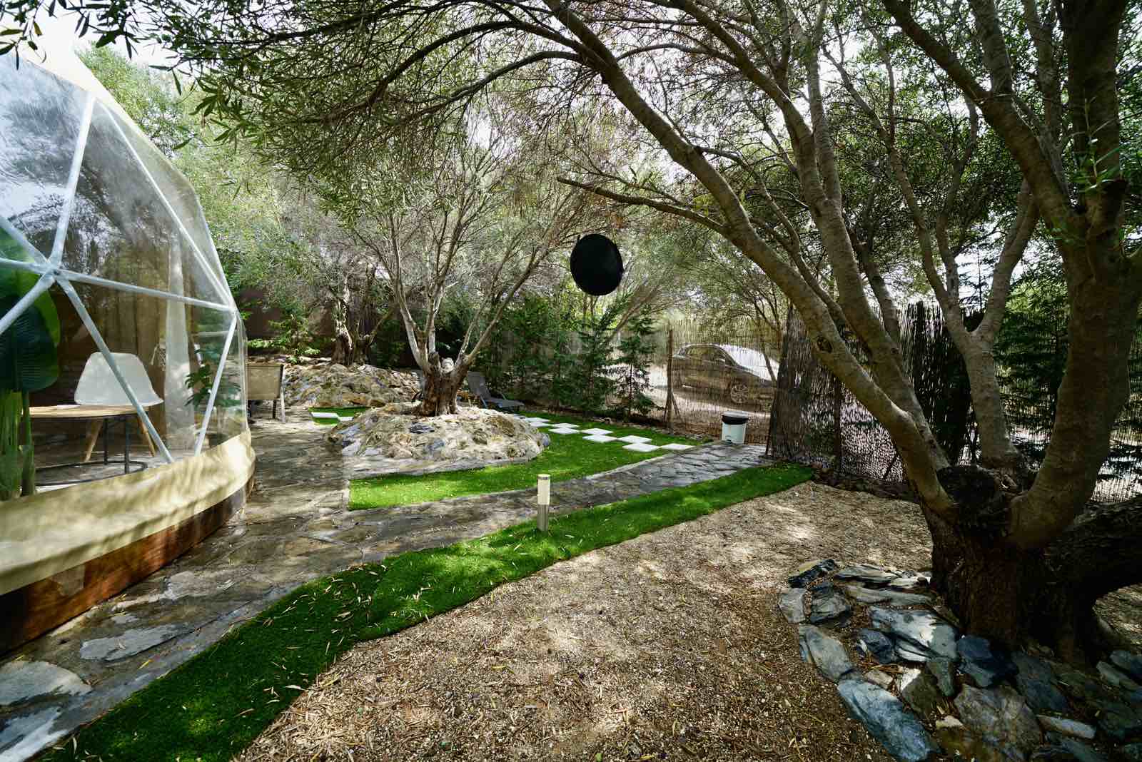 viber_image_2025-08-27_16-02-48-014